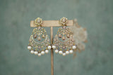 Polki Earrings (1-5613)(B)