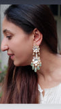 Polki Earrings (1-4354)(B)