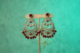 Polki Earrings (1-5616)(B)
