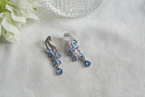 Blue stone earrings(1-5461)(L)