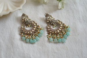 Polki Earring (1-4002)(A)