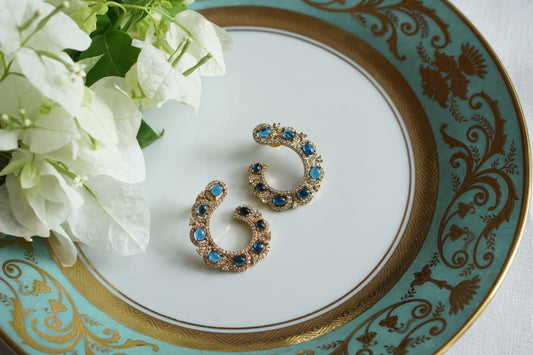 Blue Stone Earrings (1-5504)(B)