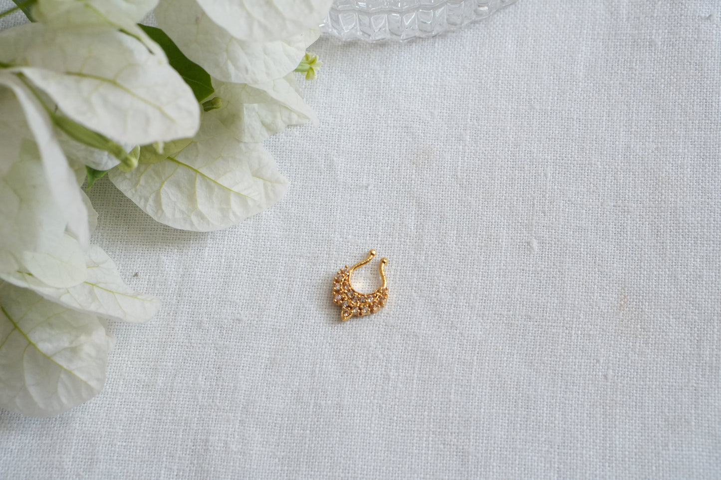 AD Septum Nosering (2-278)(Ak) - JEWELSTYLE