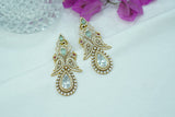 Polki Earrings  (1-4073)(A)