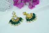 Polki Earrings  (1-4072)(A)