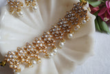 Kundan Choker set (4-8473)(R)