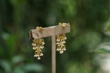 Kundan Earrings (1-4439)(introductory price)