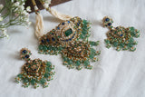 Polki Necklace set (4-8275)(B)