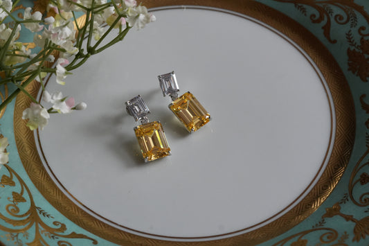 Ad Earrings (1-5424)(B)