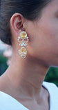 Polki Earring(1-4505)(B)