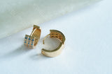 AD Earrings (1-1920)(OFFER PIECE)